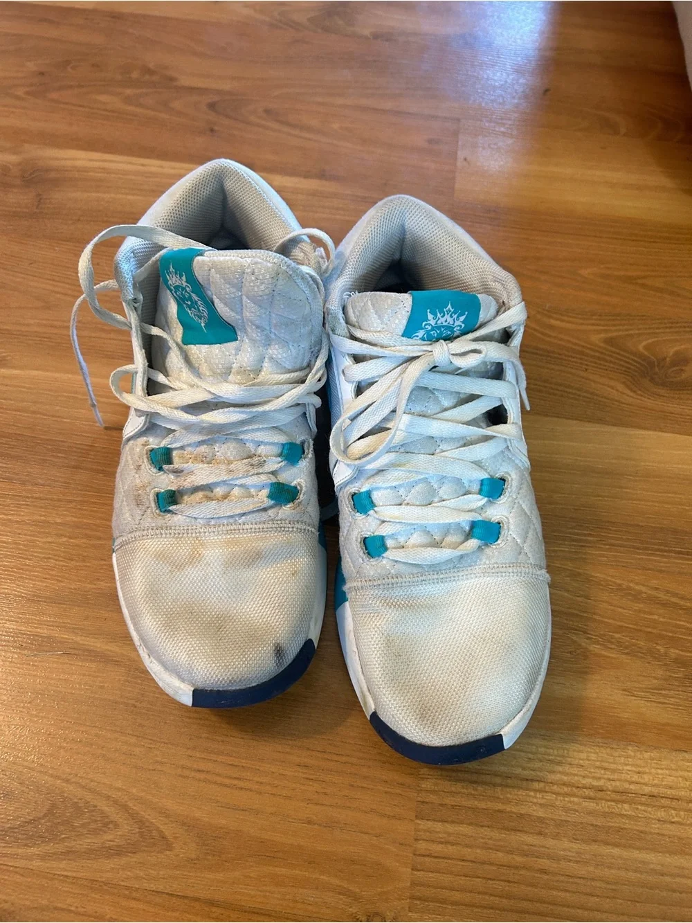 Nike Lebron nike lebron